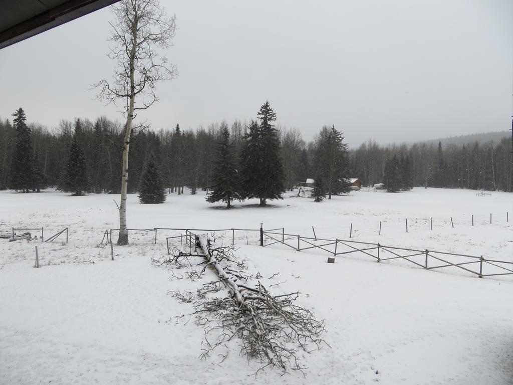 Black Cat Guest Ranch Brule Mines Eksteriør bilde